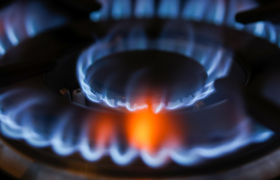 Close-up of a gas stove burner with blue flames and an orange flame in the center.