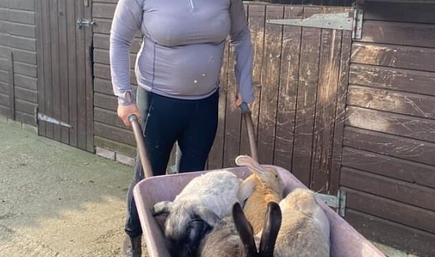 The ex-wife of Bargain Hunt's James Lewis has been revealed