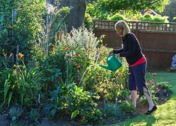 After a record amount of rainfall at the start of the year, green-fingered Brits will be hoping to spruce up their shrubs, while also basking in the long-awaited sunshine (stock image)