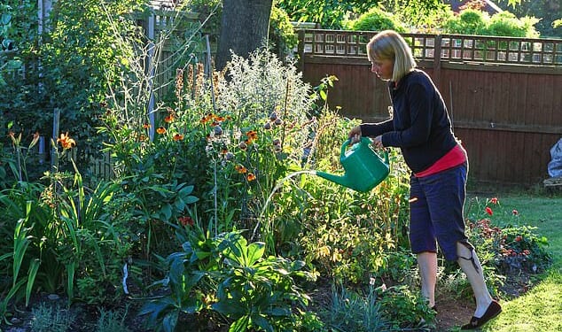 After a record amount of rainfall at the start of the year, green-fingered Brits will be hoping to spruce up their shrubs, while also basking in the long-awaited sunshine (stock image)