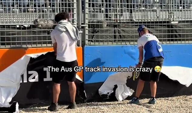 Formula One fans stripped Albert Park bare after the Australian Grand Prix in Melbourne, even removing advertising hoardings