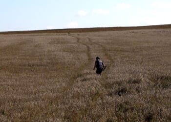 Five Reasons for Ukraine to Give Up Donbas