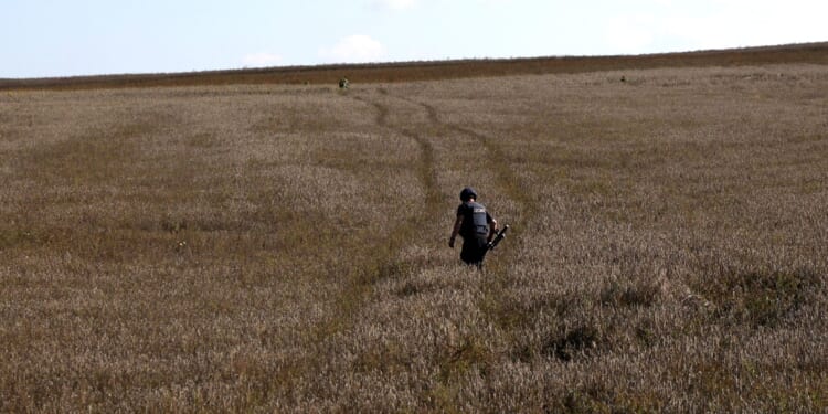 Five Reasons for Ukraine to Give Up Donbas