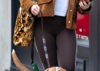 Actress Florence Pugh was spotted out and about in West London with her Staffordshire terrier, Billie