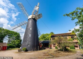 Mount Pleasant Windmill is being sold alongside a four-bedroom home, a wood-fire bakery, a tea room and stone outbuildings