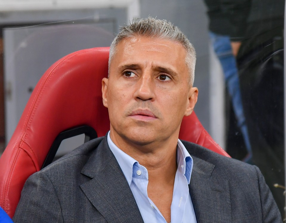 Al Gharafa SC (QAT) v Al Ain FC (UAE) - AFC Champions League