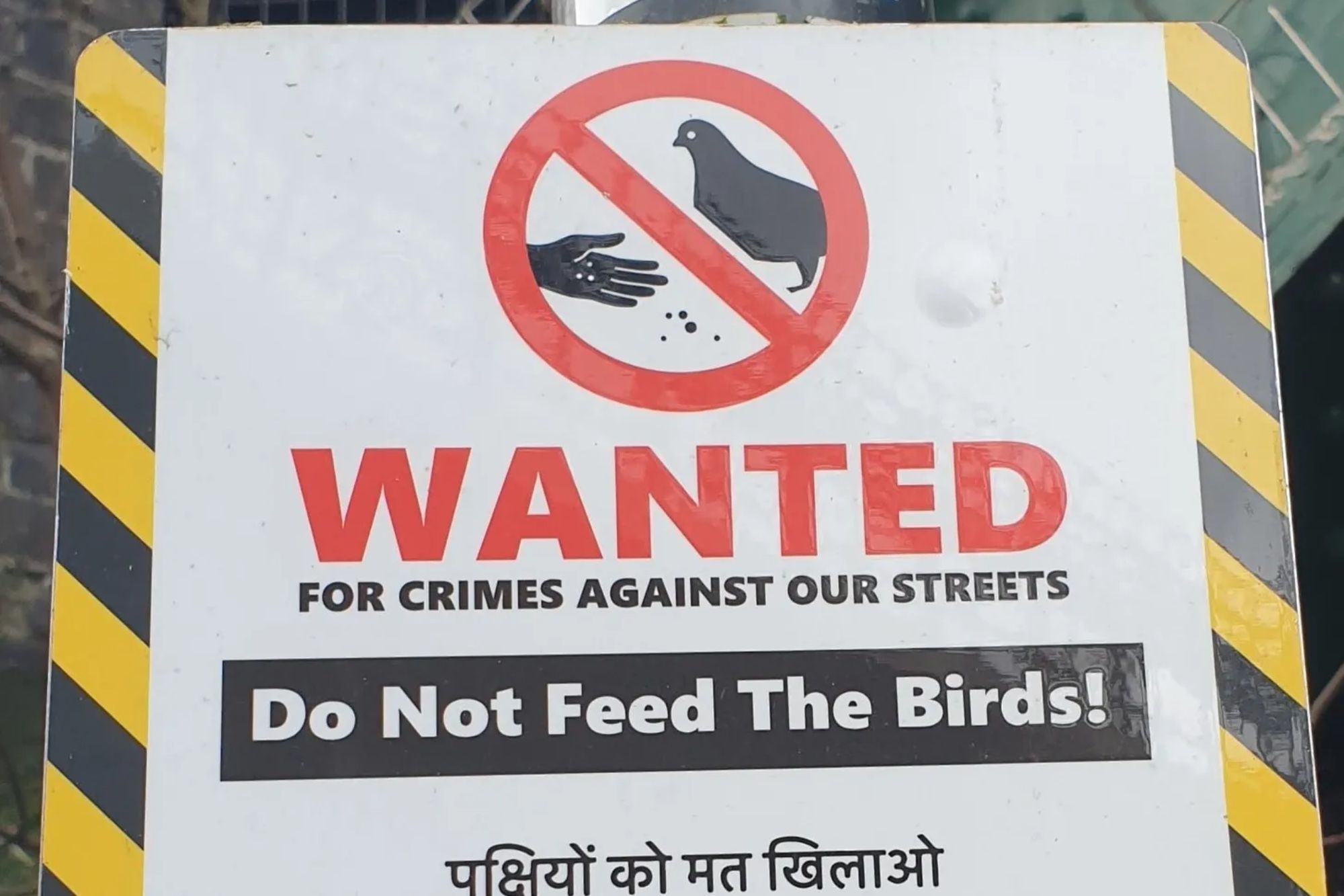 An image collage containing 1 images, Image 1 shows A sign from the Brent Council in London warning people not to feed birds, written in English and five South Asian languages, stating a penalty of up to five years in prison or an unlimited fine