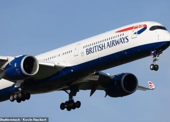 British Airways flew an evacuation flight on Monday which had 100 empty seats (file pic)
