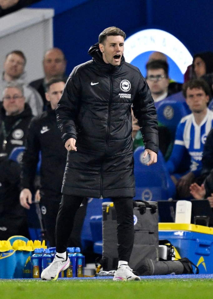 Brighton & Hove Albion manager Fabian Hurzeler reacting during a match.