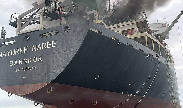 Authorities are searching for three missing crew members from the Mayuree Naree (pictured)  after 20 were rescued by the Omani navy