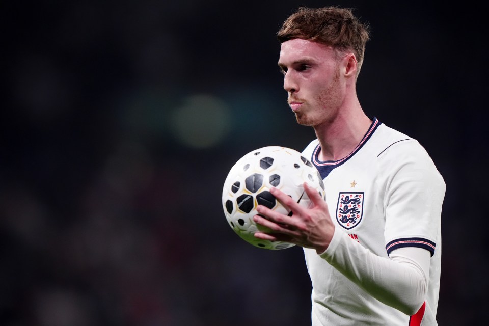 England v Japan - International Friendly - Wembley Stadium