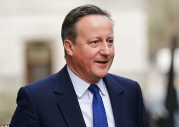 Protection: David Cameron was caught up in a lobbying scandal involving Lex Greensill