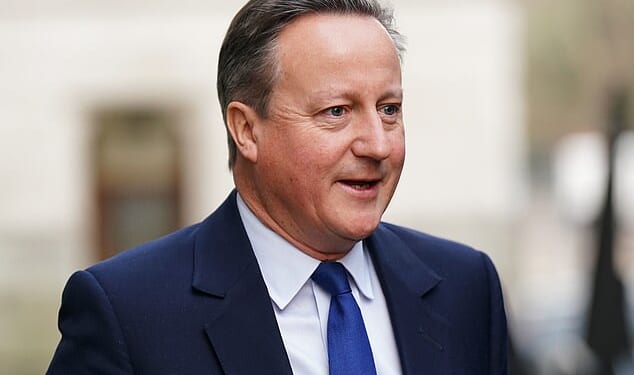 Protection: David Cameron was caught up in a lobbying scandal involving Lex Greensill