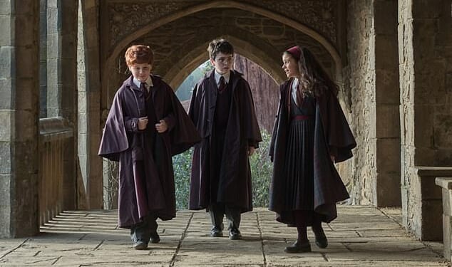 The child stars of the new Harry Potter series are reportedly being paid an astonishing amount for the first series