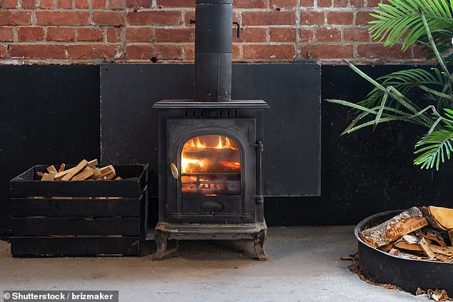 Up in smoke? New wood burners could carry cigarette-style health warnings highlighting the impact their emissions have on air pollution, under new Government plans