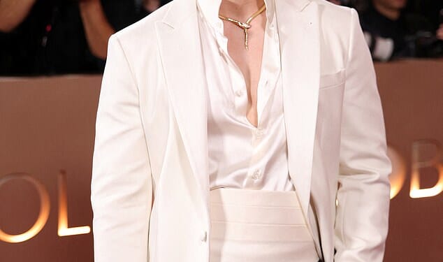 Two of Heated Rivalry's biggest stars launched a blistering attack at some of the show's fanbase over 'racist, homophobic and misogynistic' abuse online (pictured: Hudson Williams)