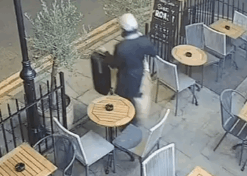 Homeless man charged with 'stealing £150,000 violin from London's Philharmonia Orchestra musician as he dined in pub'