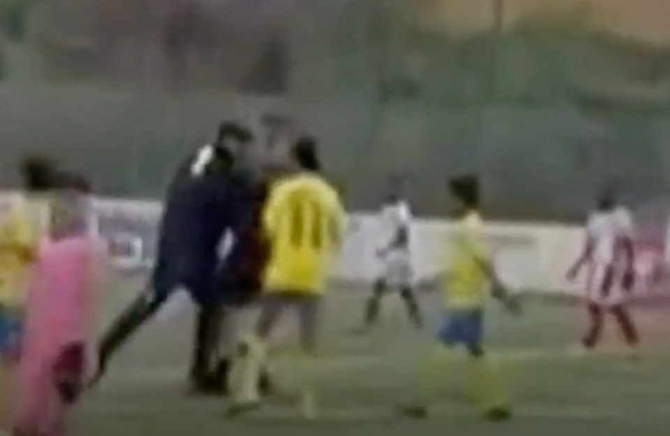 NINTCHDBPICT001068622088