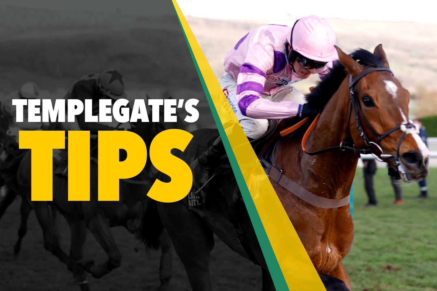 Photo with text "Templegate's Tips" overlaid on a racing horse and jockey.