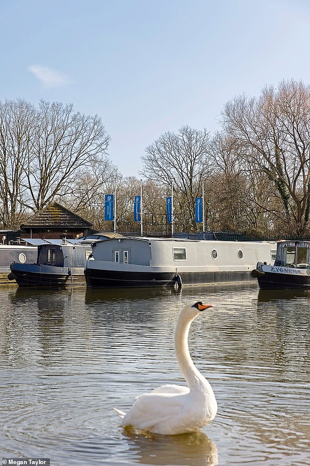 The boat exterior, with a view of swans from the windows