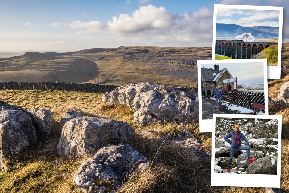Collage of four photos depicting Yorkshire: a rocky landscape, a steam train on a viaduct, a person and a dog at Dent Station, and a person standing on snow-covered rocks.