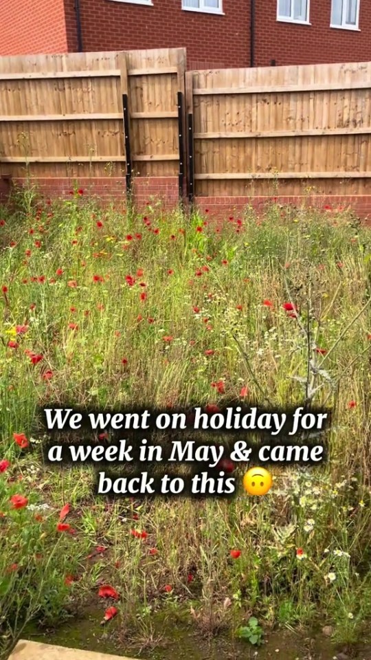 NINTCHDBPICT001065575565