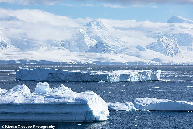 Nothing will beat the experience of looking out your window and seeing enormous chunks of ice floating past