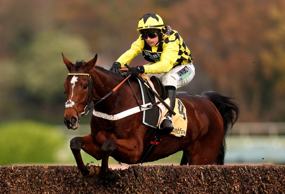 Betfair Tingle Creek Festival - Day Two - Sandown Park