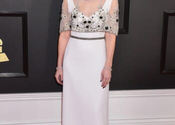 Enya has an off-grid life in a £2.5million remote castle with no husband or children and just 12 her cats. The singer said she was 'dark and difficult' to be around and described marriage as 'horrific' (pictured at the Grammys in 2017)