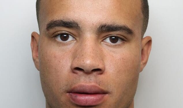 Harrison Sullivan, who is a 24-year-old Essex-born influencer known online as HSTikkyTokky