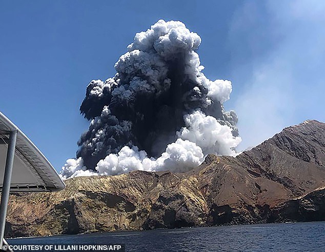 Twenty-two people died and 25 others were injured when White Island erupted (above). The bodies of two of the dead were never recovered
