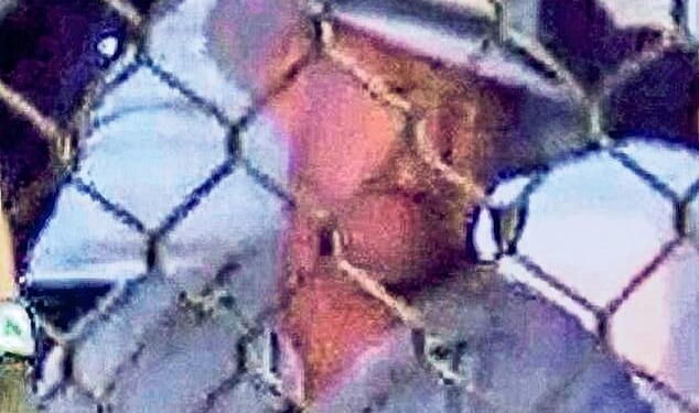 Irish crime boss Christy Kinahan (pictured), known as ‘Dapper Don’ for his sartorial style, was pictured for the first time in years