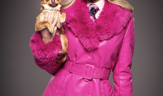 Legally Blonde: The Musical hit by fresh woes as furious fans demand a refund after Milton Keynes show was scaled back to a 'concert version' amid 'feud' claims