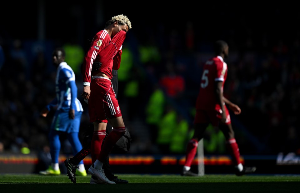 Brighton & Hove Albion v Liverpool - Premier League