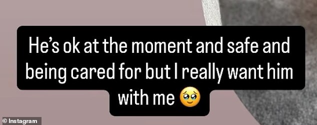 She wrote: 'He's ok at the moment and safe and being cared for but I really want him with me'