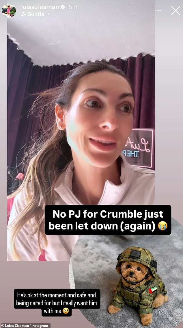 The move comes just one day after Luisa offered her followers a free private jet flight to bring her dog from Dubai to the UK, after she fled the war-torn city