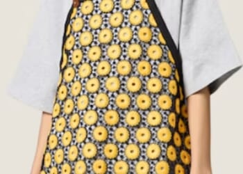 Luxury fashion brand Miu Miu have faced backlash for their 'out of touch' 'Soviet Dinner Lady Chic' collection - featuring an eye-watering £3,700 apron (pictured)