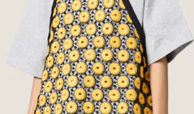 Luxury fashion brand Miu Miu have faced backlash for their 'out of touch' 'Soviet Dinner Lady Chic' collection - featuring an eye-watering £3,700 apron (pictured)