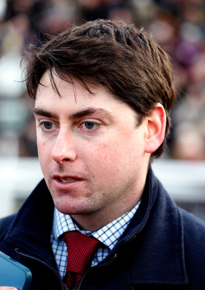 Festival Trials Day - Cheltenham Racecourse - Saturday 27th January