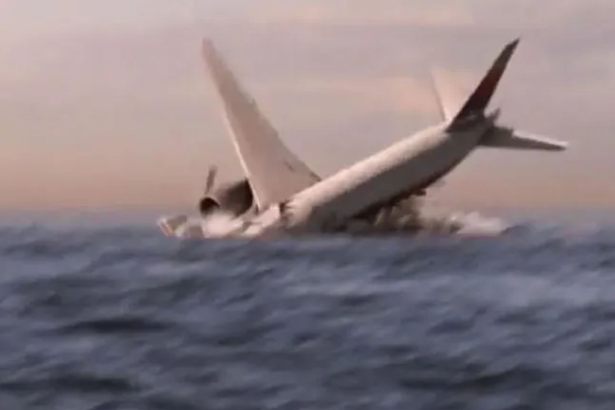 An image collage containing 1 images, Image 1 shows NINTCHDBPICT000436438088