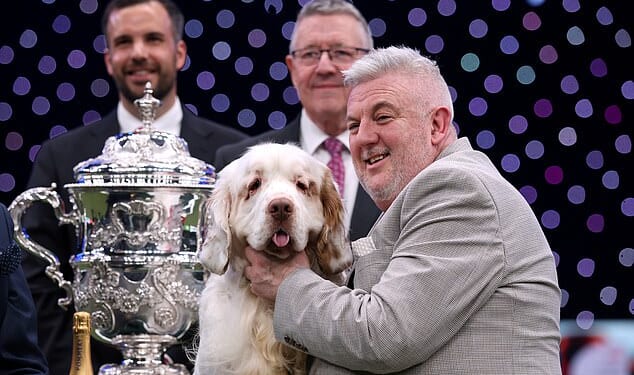 Lee Cox (pictured with his dog), whose Clumber spaniel Bruin won Crufts Best in Show award, has a previous conviction for animal cruelty