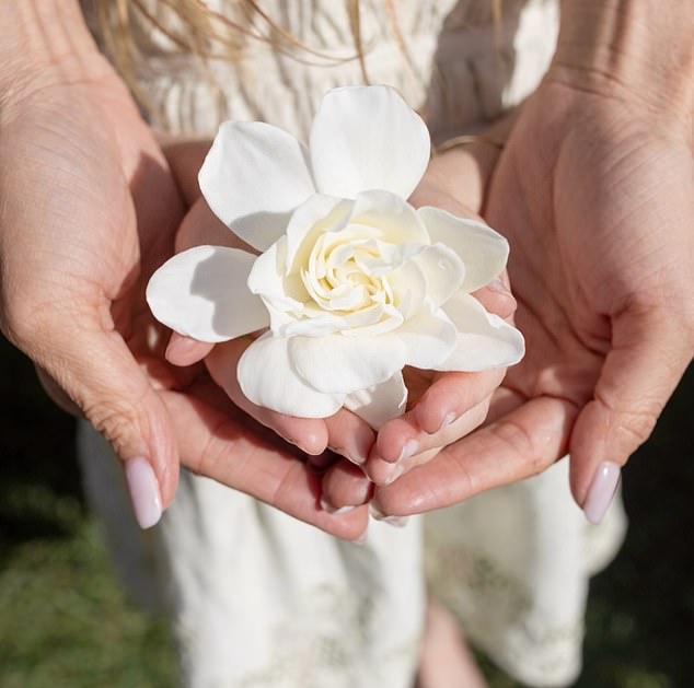 The toddler's long red hair can be seen in the snap posted to unveil the collaboration with High Camp gardenias, which charges hundreds of dollars for gift boxes of flowers