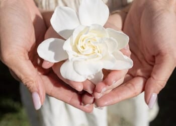 Revealing As Ever is collaborating with a luxury floral delivery firm, Meghan shared a close-up photo of Lilibet, four, holding a white gardenia, as the toddler's hair was visible in the snap