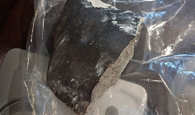 Pictured: The meteorite that landed in Sherrie James's home just outside Houston on Saturday