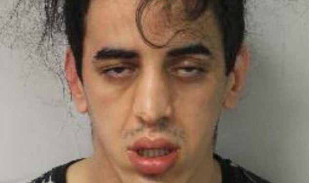 Algerian teenager Mohamed Sellaoui stalked a wealthy tourist as he walked through Mayfair on an evening out before violently attacking to rip a £37,000 watch from his wrist