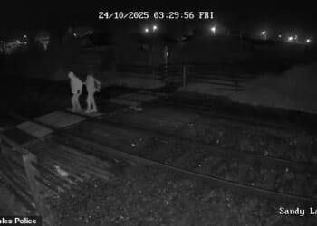 This is the moment misogynist teen Tristan Thomas Roberts lead his mother Angela Shellis to a secluded nature reserve before bludgeoning her to death