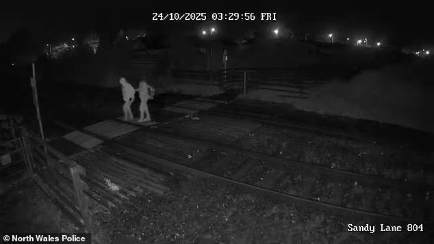 This is the moment misogynist teen Tristan Thomas Roberts lead his mother Angela Shellis to a secluded nature reserve before bludgeoning her to death