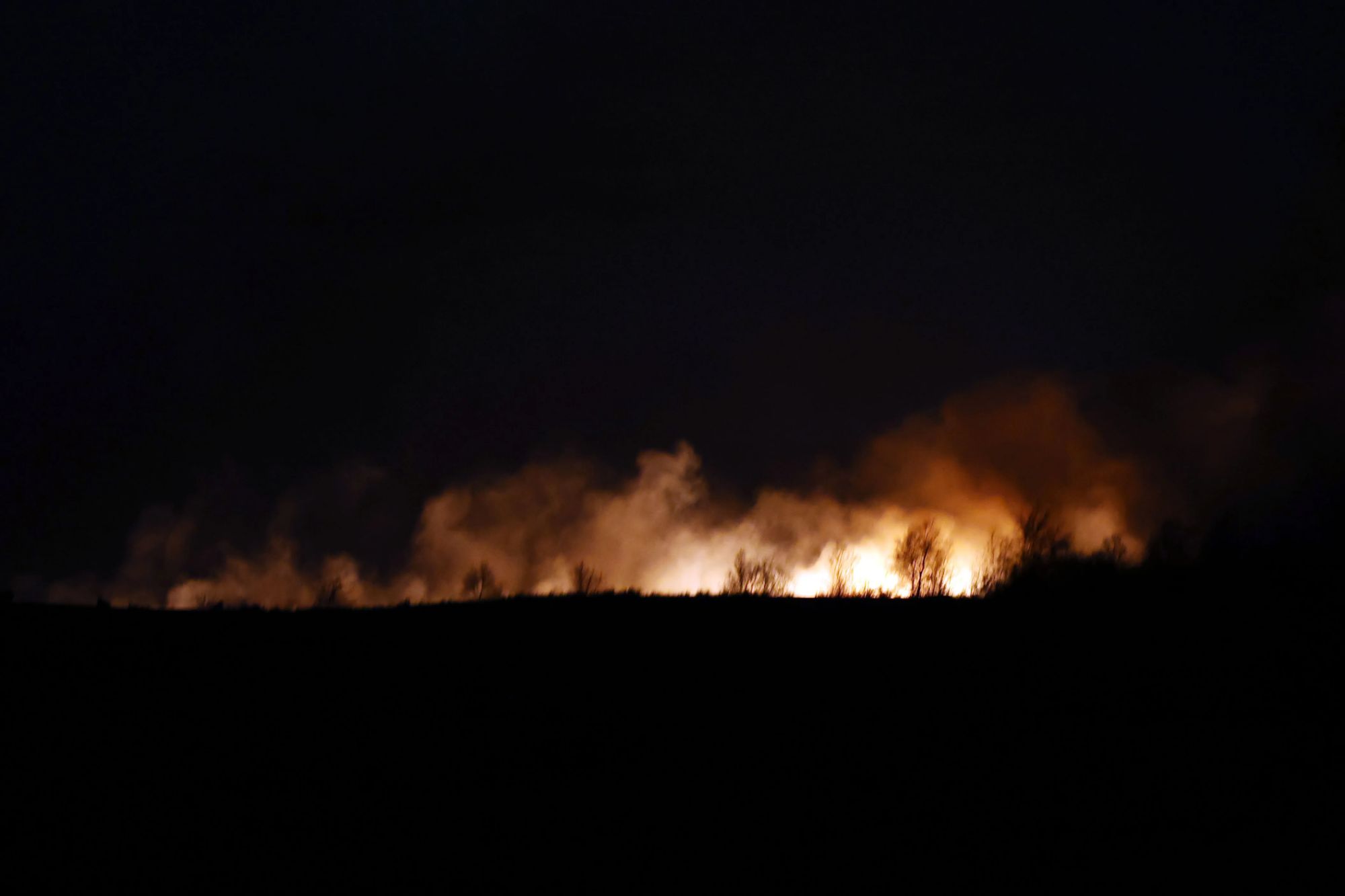 An image collage containing 1 images, Image 1 shows A moorland fire glowing at night, silhouetting trees and emitting smoke