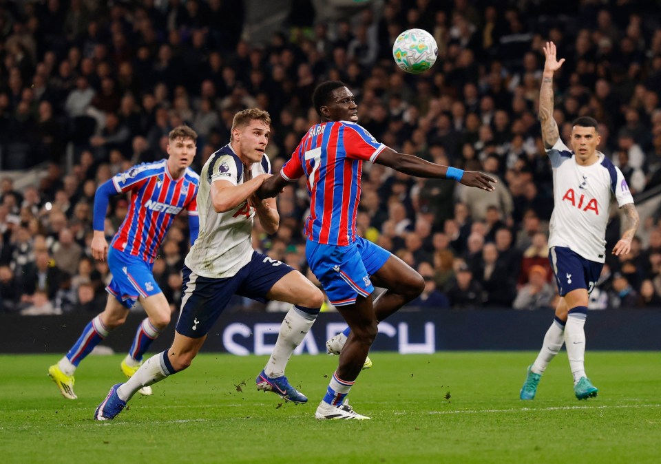 Premier League - Tottenham Hotspur v Crystal Palace