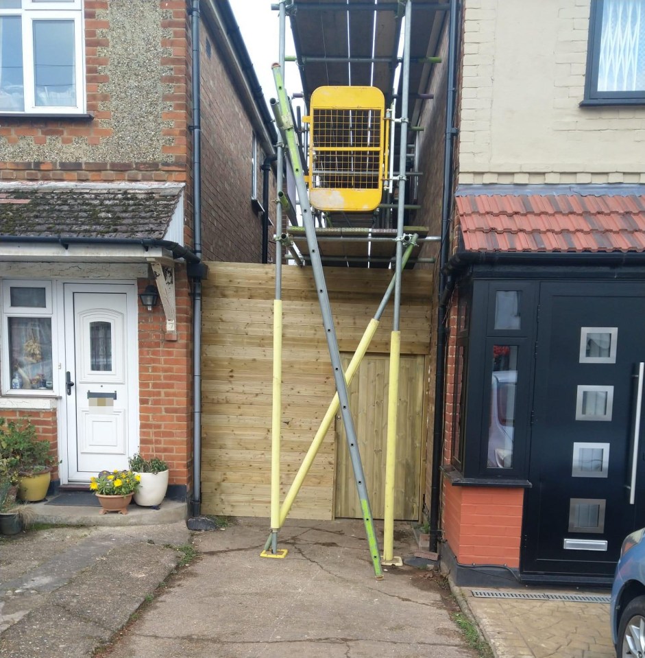 NINTCHDBPICT001065798825